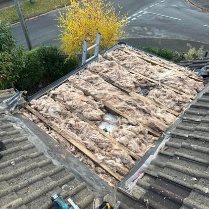 Flat roof stripped exposed joists autumn tree
